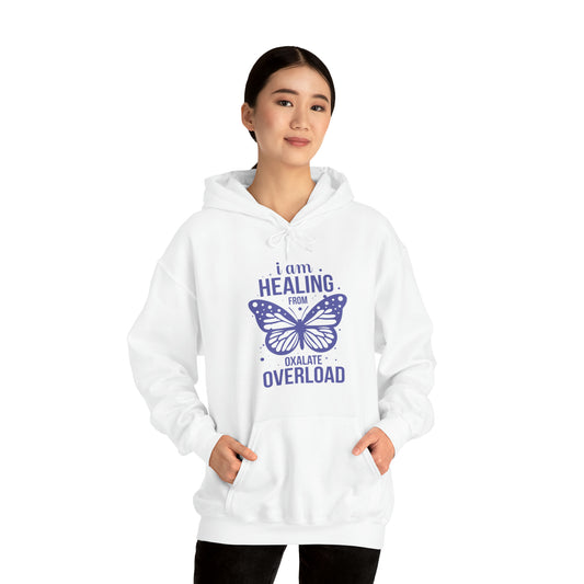 I am healing from oxalate overload hoodie